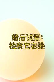 婚后试爱:检察官老婆