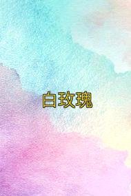 白玫瑰